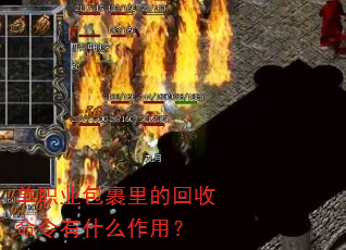 单职业包裹里的回收命令有什么作用? 单职业包裹里的回收命令有什么作用?
