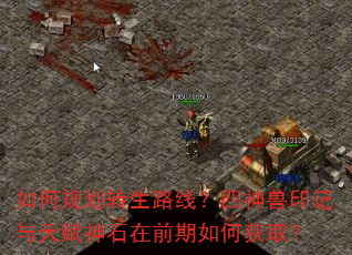 如何规划转生路线?四神兽印记与天赋神石在前期如何获取? 如何规划转生路线?四神兽印记与天赋神石在前期如何获取?