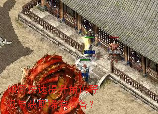 如何快速提升角色等级与获取稀有装备? 如何快速提升角色等级与获取稀有装备?