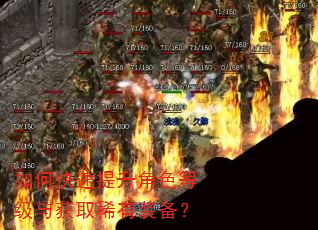 如何快速提升角色等级与获取稀有装备? 如何快速提升角色等级与获取稀有装备?
