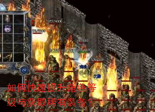 如何快速提升角色等级与获取稀有装备? 如何快速提升角色等级与获取稀有装备?