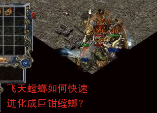 飞天螳螂如何快速进化成巨钳螳螂? 飞天螳螂如何快速进化成巨钳螳螂?