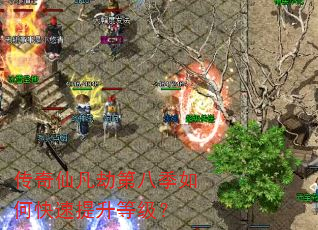 传奇仙凡劫第八季如何快速提升等级? 传奇仙凡劫第八季如何快速提升等级?